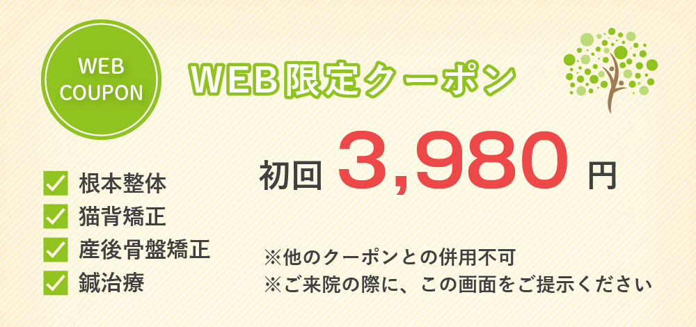 WEB限定クーポン