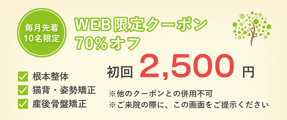 WEB限定クーポン