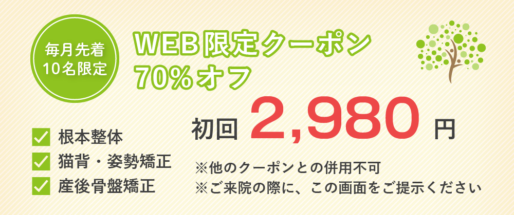 WEB限定クーポン